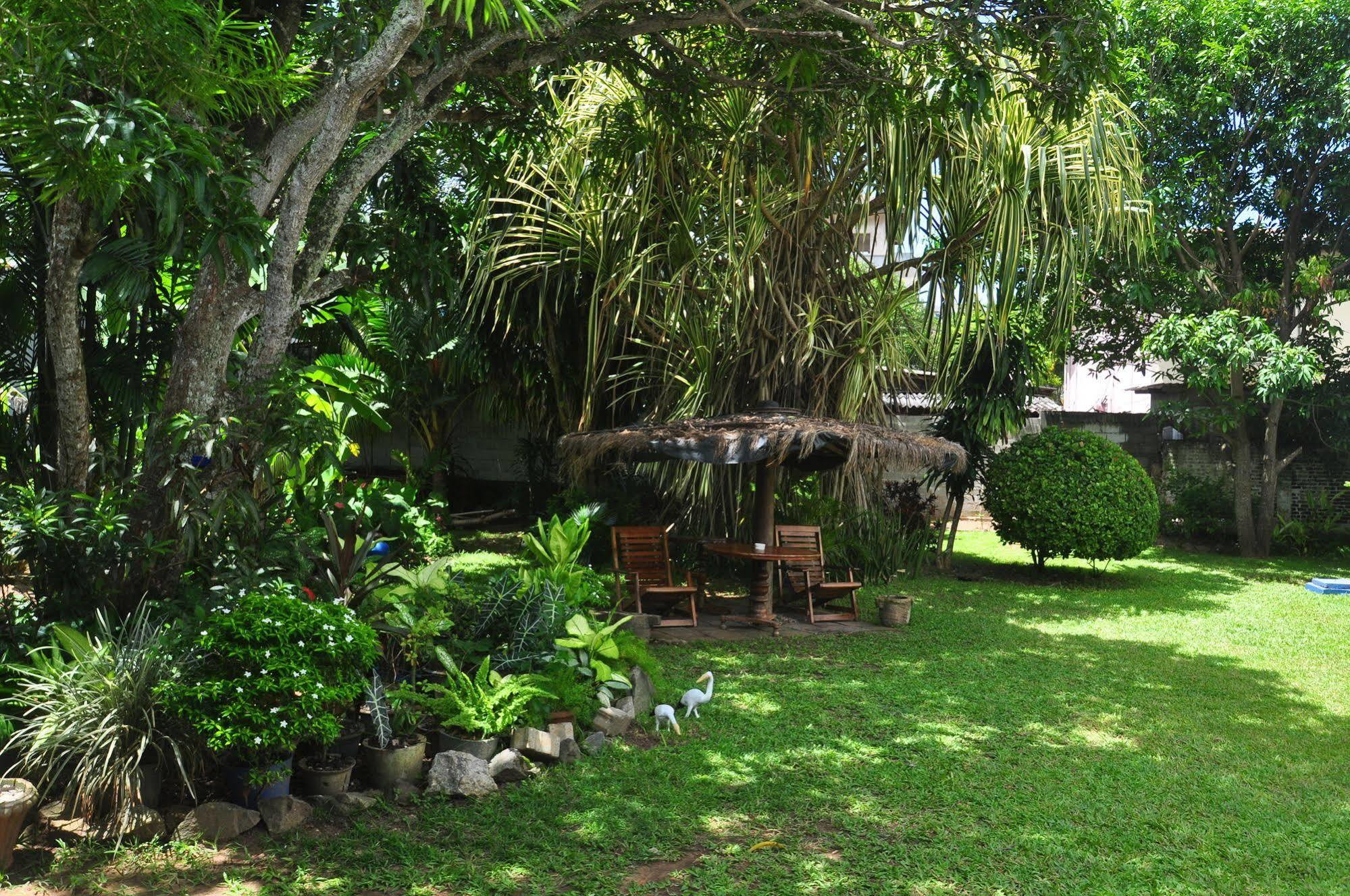Blue Seas Guest House Dehiwala-Mount Lavinia ภายนอก รูปภาพ